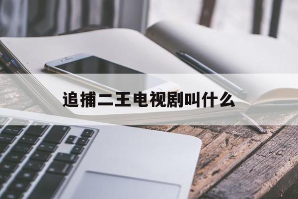 追捕二王电视剧叫什么